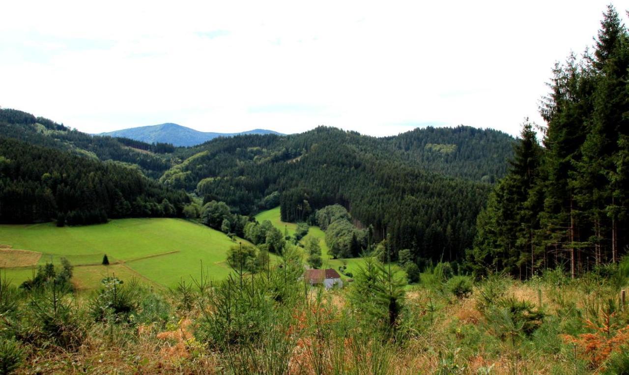 Gemuetliches Haus Im Herzen Des Schwarzwaldes Fuer Bis Zu 9 Personen Elzach Εξωτερικό φωτογραφία