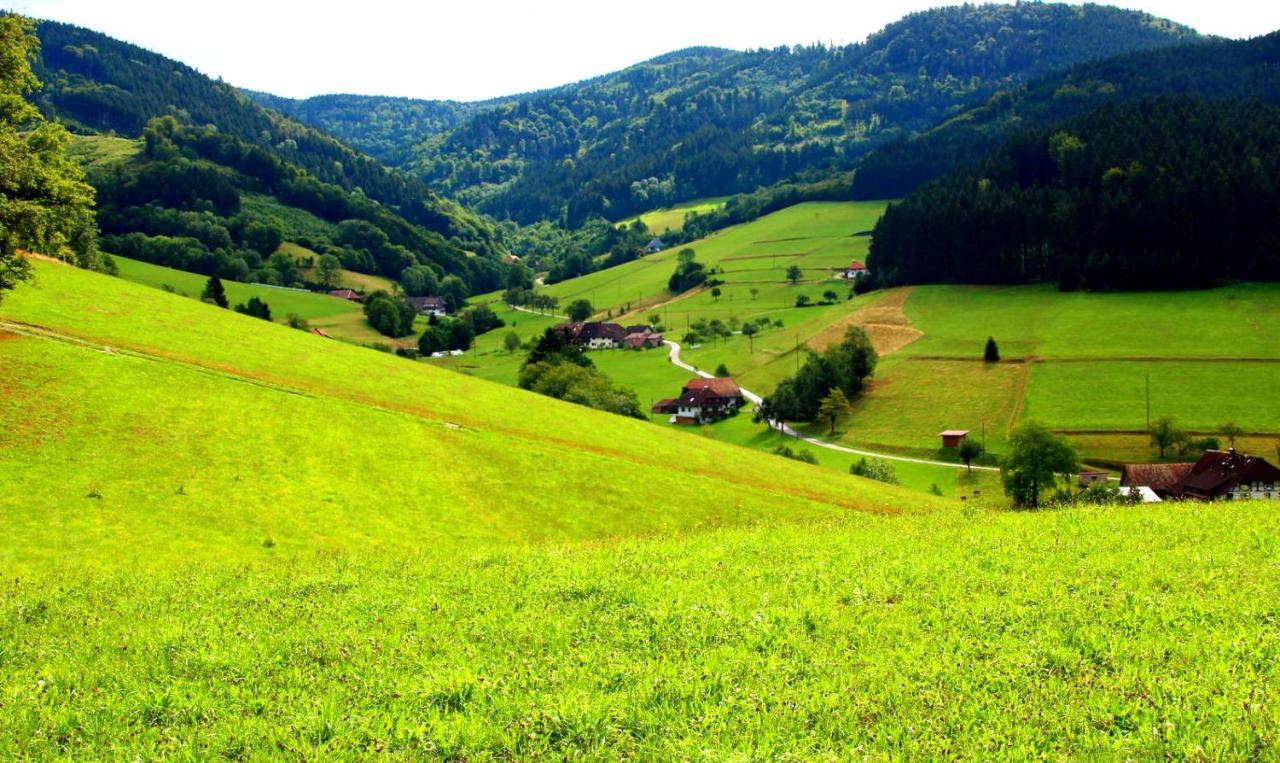 Gemuetliches Haus Im Herzen Des Schwarzwaldes Fuer Bis Zu 9 Personen Elzach Εξωτερικό φωτογραφία